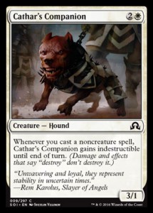 catharscompanion