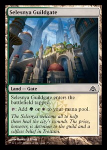 selesnyaguildgate