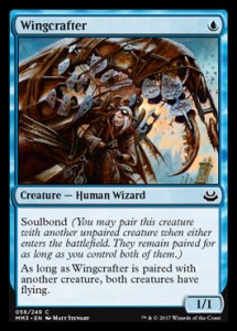 wingcrafter